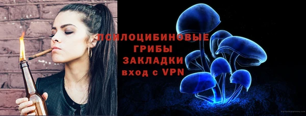 прущие грибы Абинск