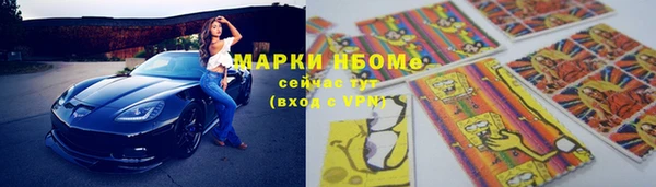прущие грибы Абинск