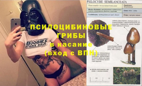 соль ск Саяногорск