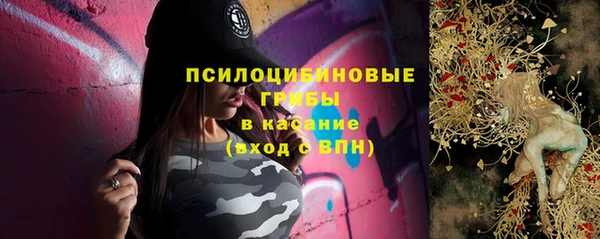 прущие грибы Абинск