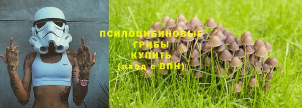 соль ск Саяногорск