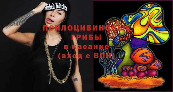 бошки Абаза