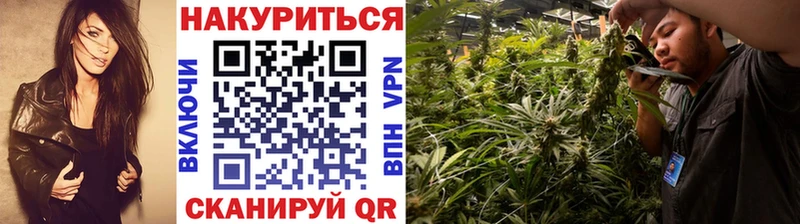 МАРИХУАНА план Духовщина